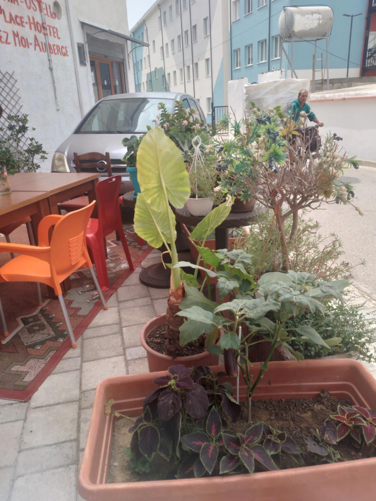 Ostello Casa Mia Vlorë Esterno foto