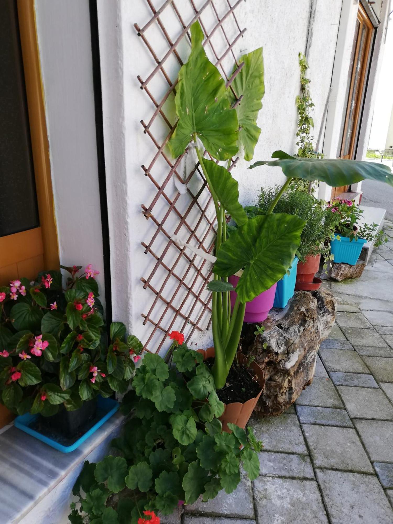 Ostello Casa Mia Vlorë Esterno foto